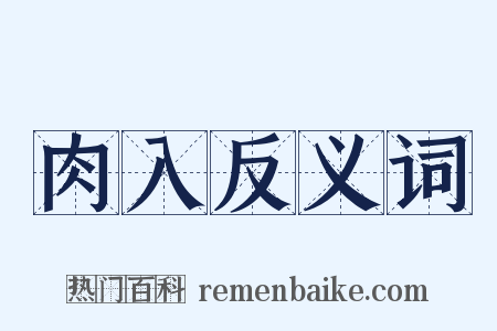 肉入反义词是什么意思的图片